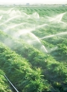 Sprinkler and Drip Irrigation Schemes